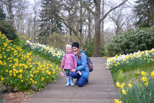 keukenhof_76.JPG