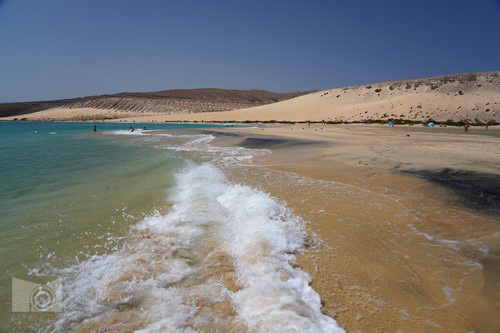 playa_del_sotavento_10.JPG