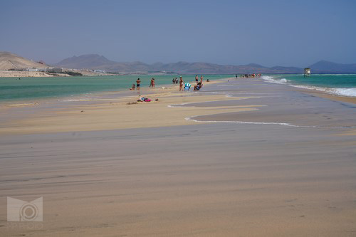 playa_del_sotavento_20.JPG