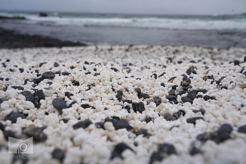 popcorn_beach_19.JPG