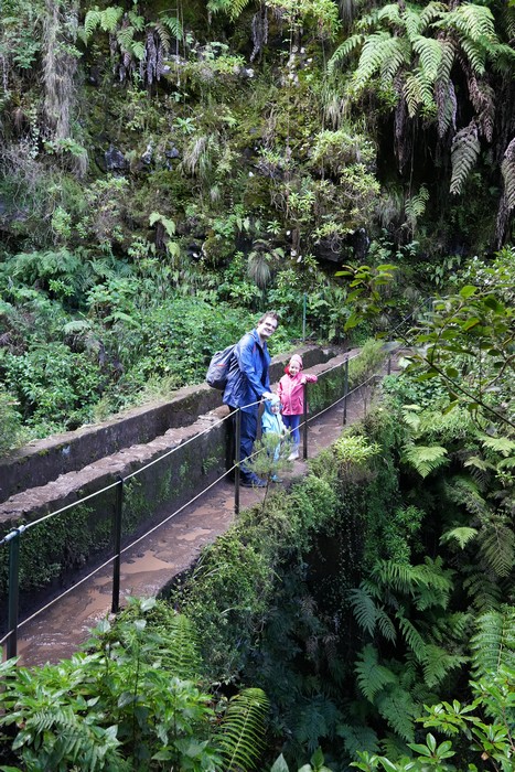 pr9-levada_do_caldeirao_verde_19.JPG