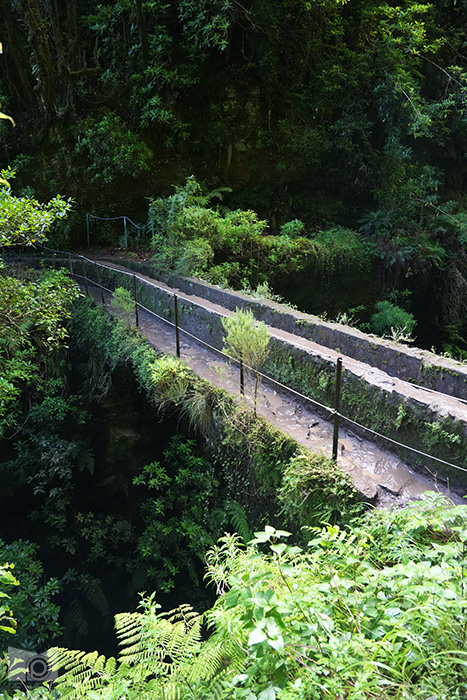pr9-levada_do_caldeirao_verde_21.JPG