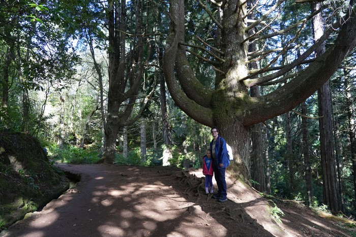 pr9-levada_do_caldeirao_verde_5.JPG