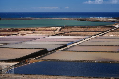 salinas_janubio_1.JPG