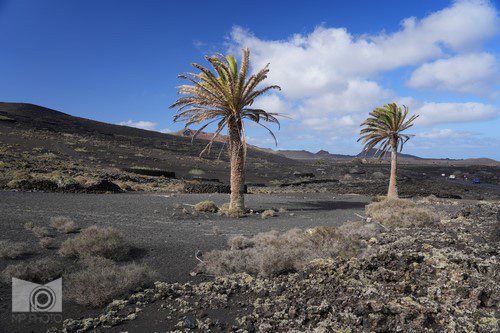 timanfaya_19.JPG