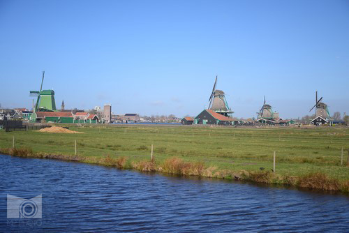 zaanse_schanse_1.JPG