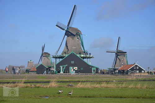 zaanse_schanse_4.JPG