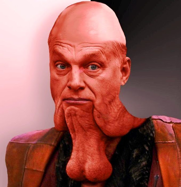 orban_farok_1.jpg