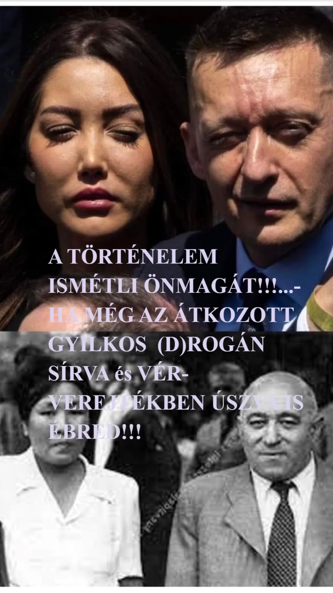 rogan_halal_1_1.jpg