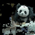 PandaProject