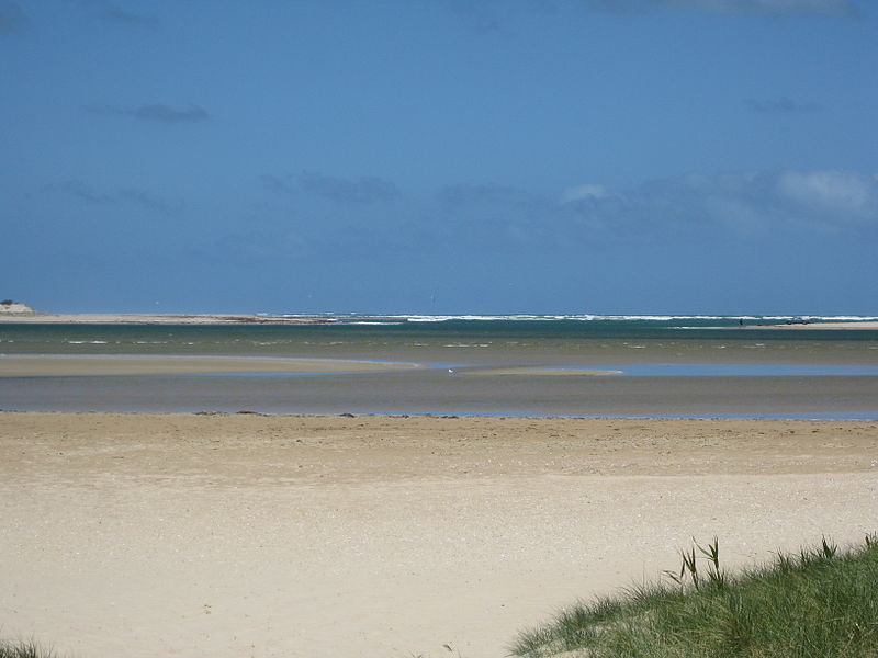 800px-murray_river_mouth.JPG