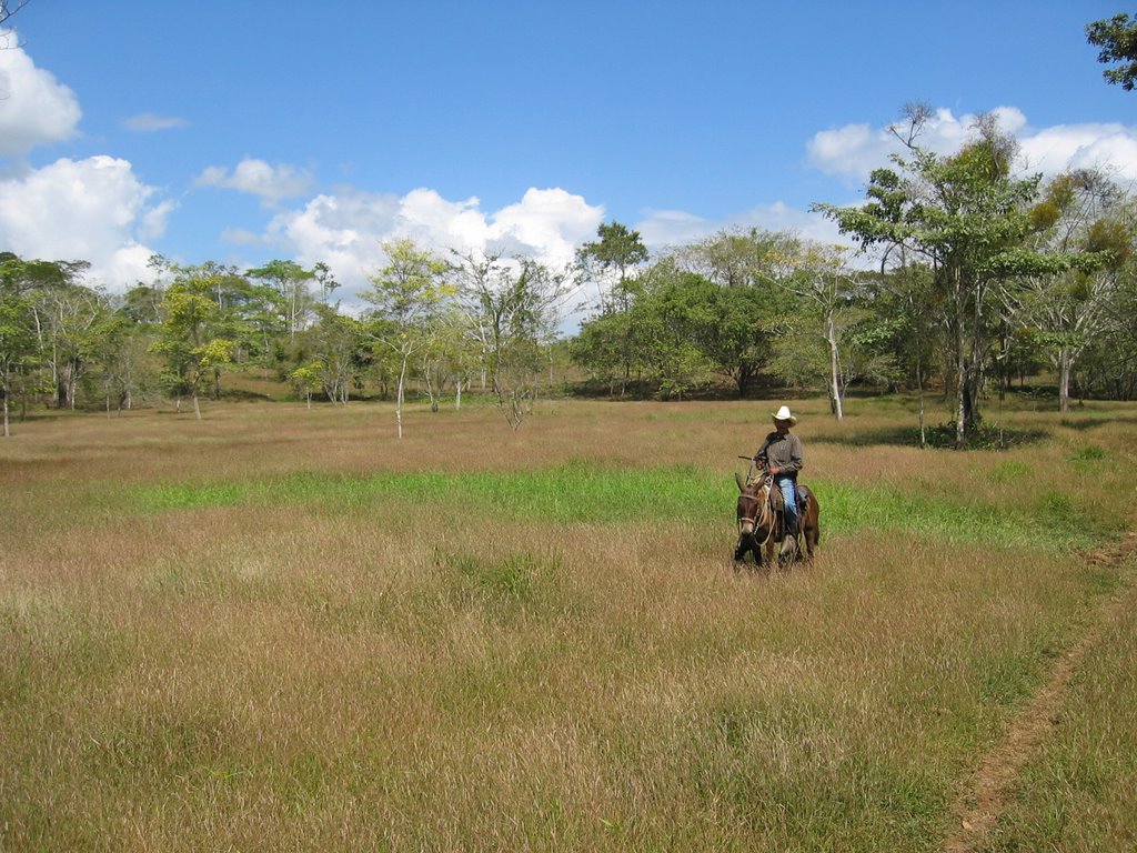 Pasto_Retana_zimdeg.jpg