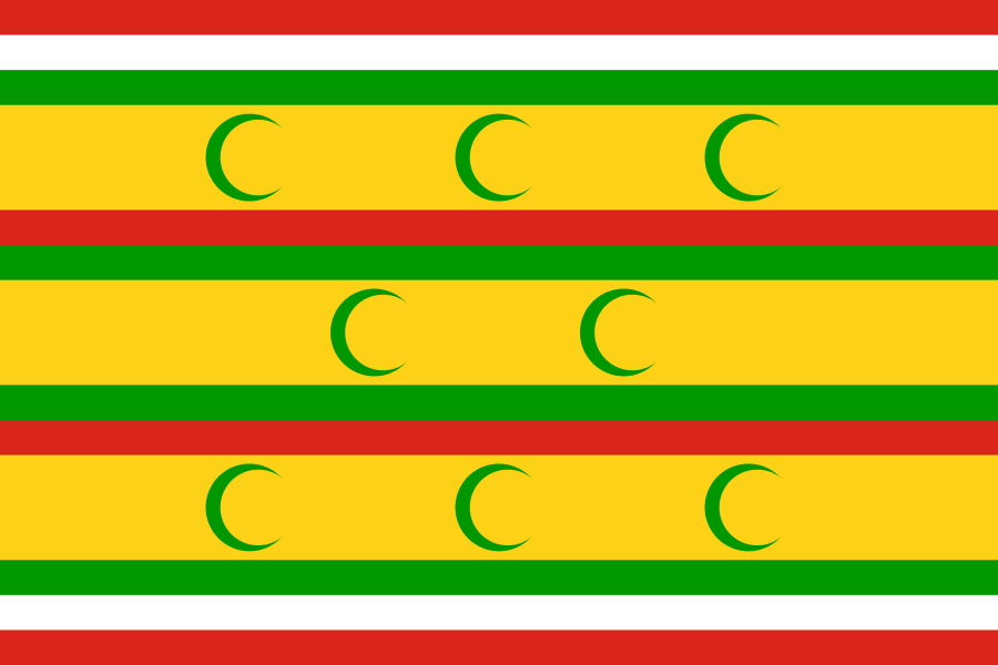 _3_flag.png