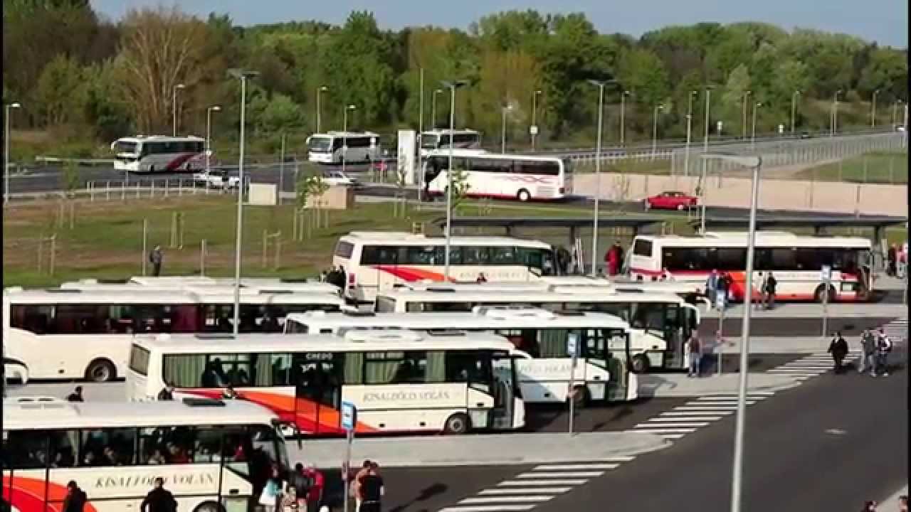 buszok.jpg