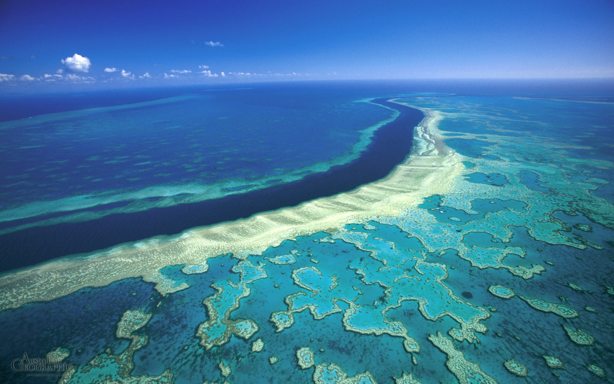 great-barrier-reef-hardy.jpg