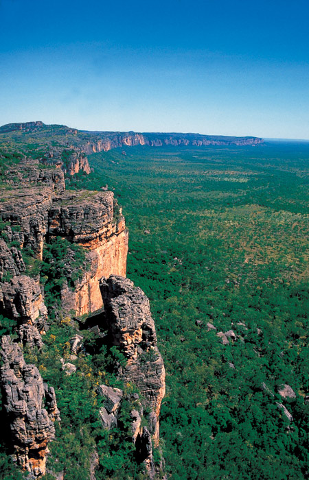 kakadu_2431.jpg