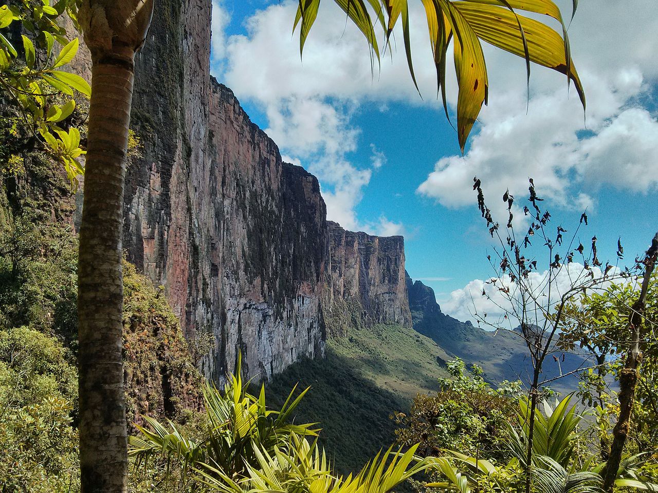 pared_del_roraima.jpg