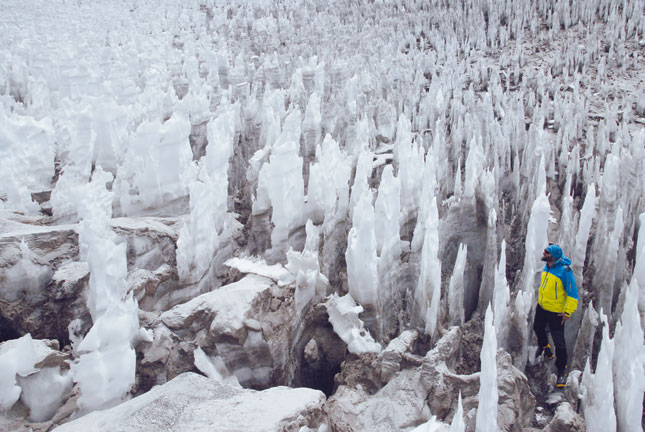 penitentes_dzsungel.jpg