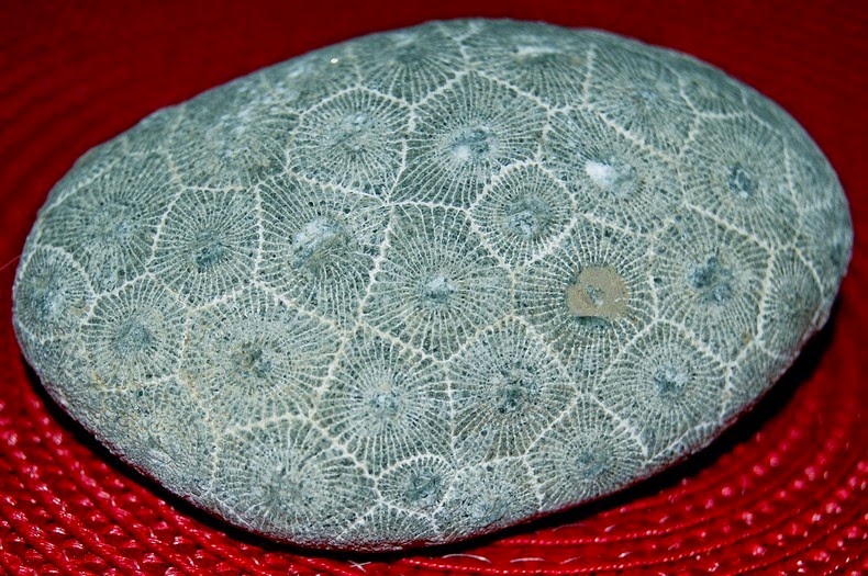 petoskey-stones-2_2.jpg