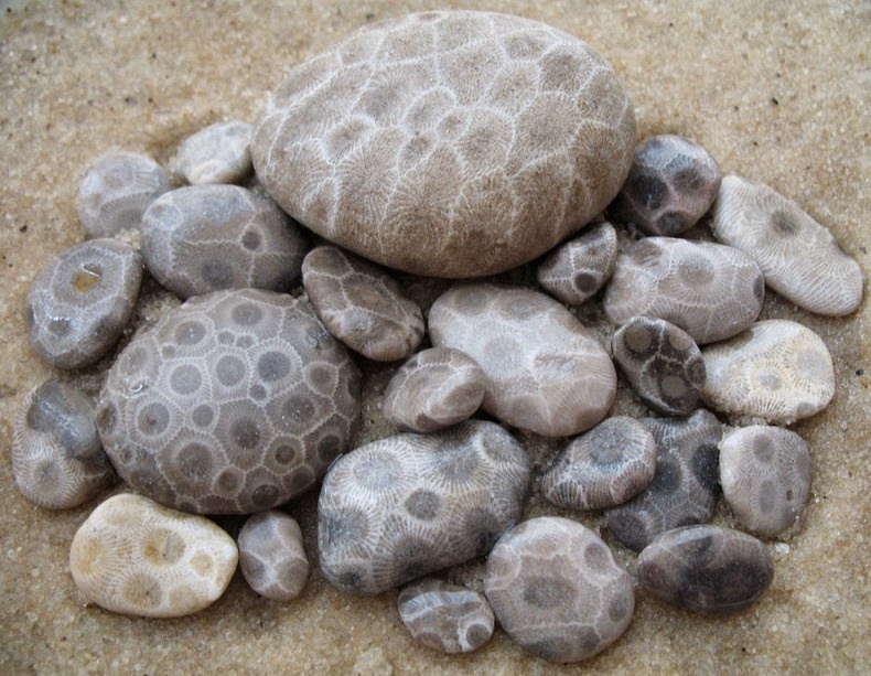 petoskey-stones-4_6.jpg