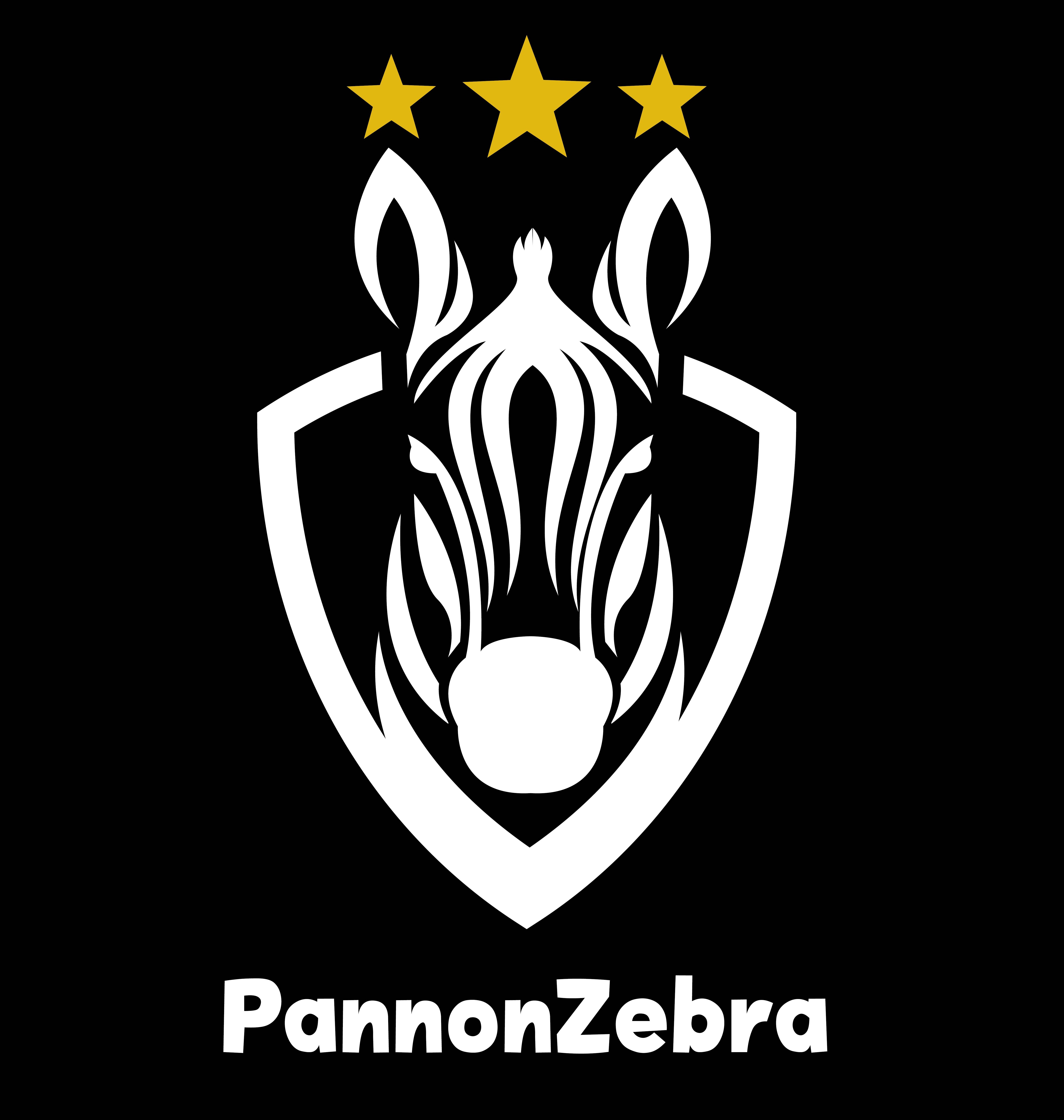 pz_logo2.jpg