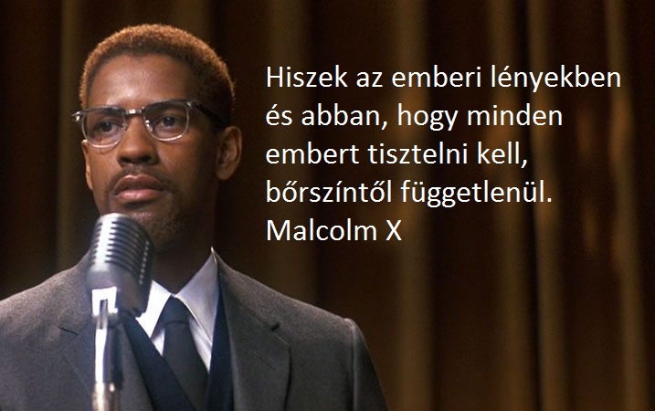 malcolm-x-denzel-washington.jpg