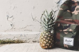 pexels-photo-174662-large