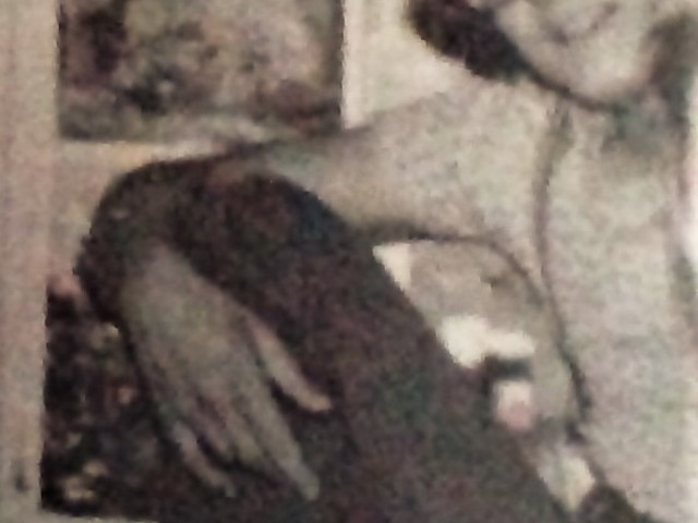Old Turkey Buzzard