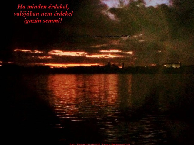 Haiku egy haigába,