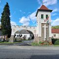 Törőcsik Mari