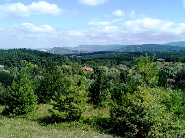 Négy lábujj