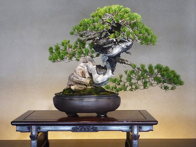 zen