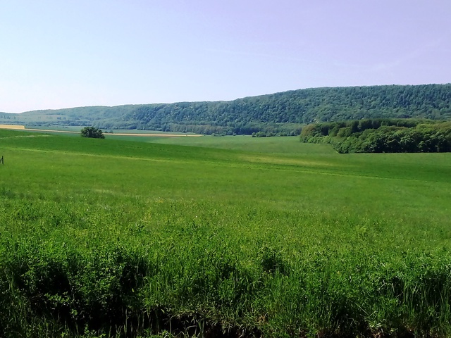külföld