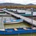 Velencei tókör