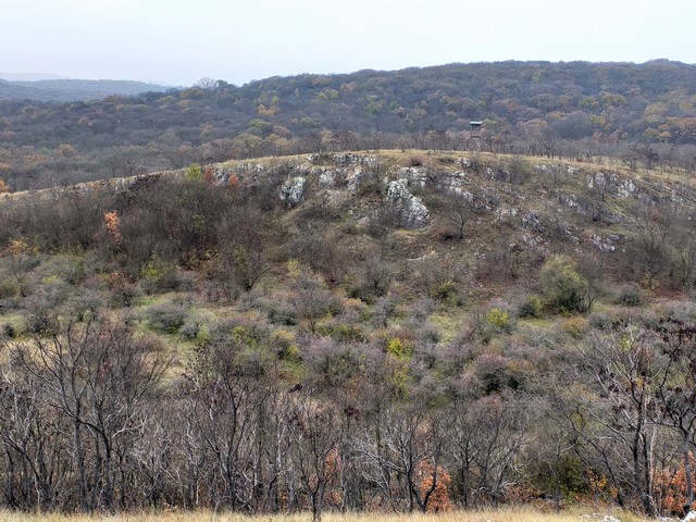 naptárlap: november 19