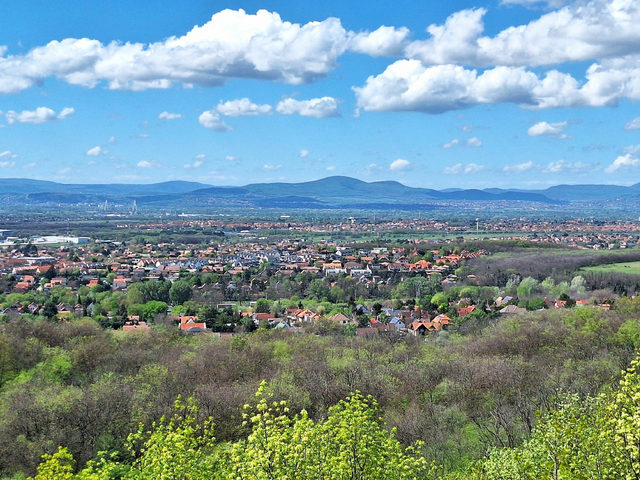 A lepkék hegye