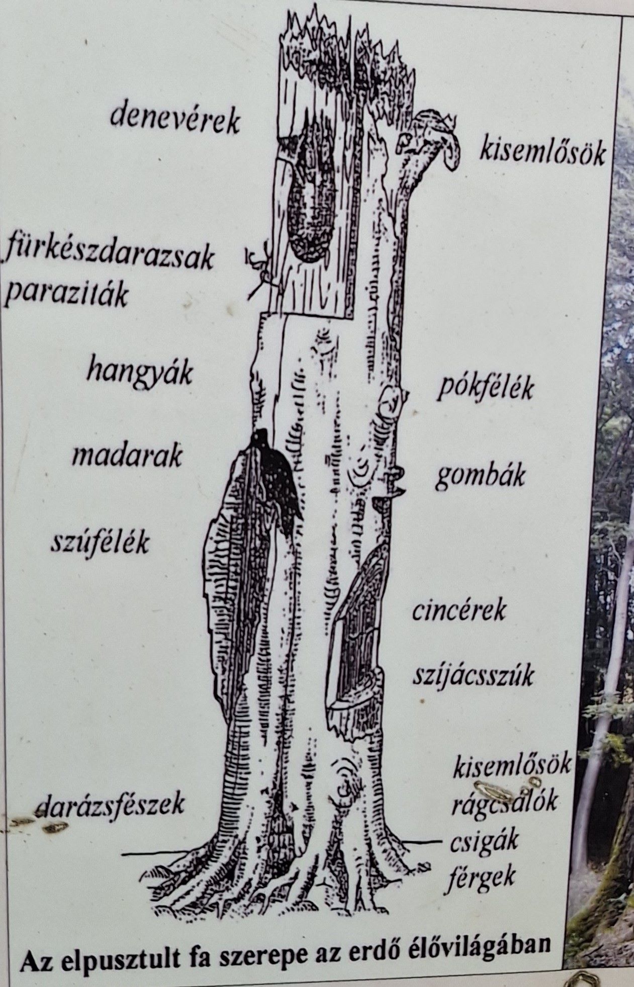 10_20251023_100932.jpg