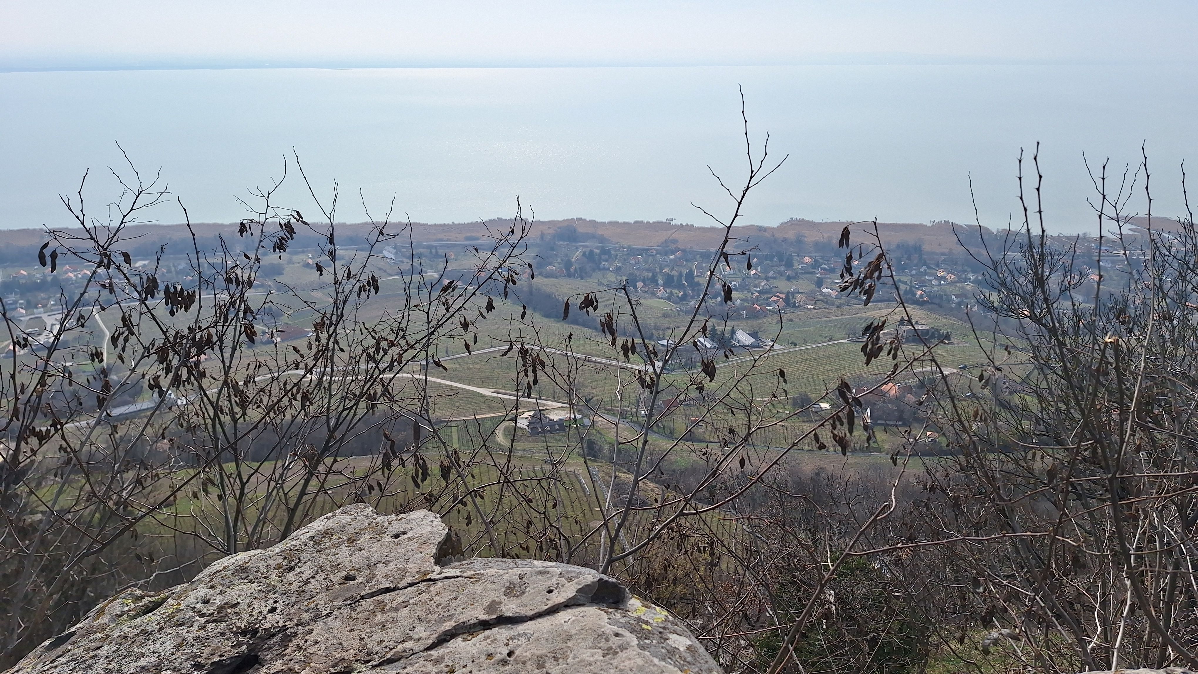 13_20250308_123414.jpg