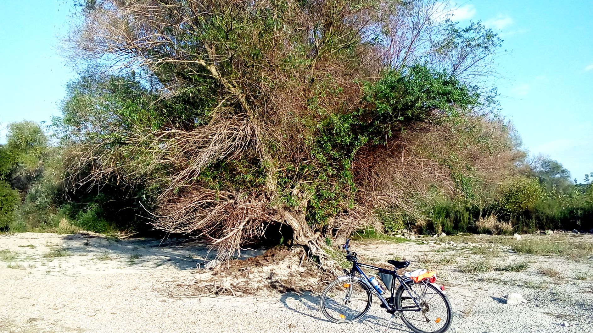 20180917_173501.jpg