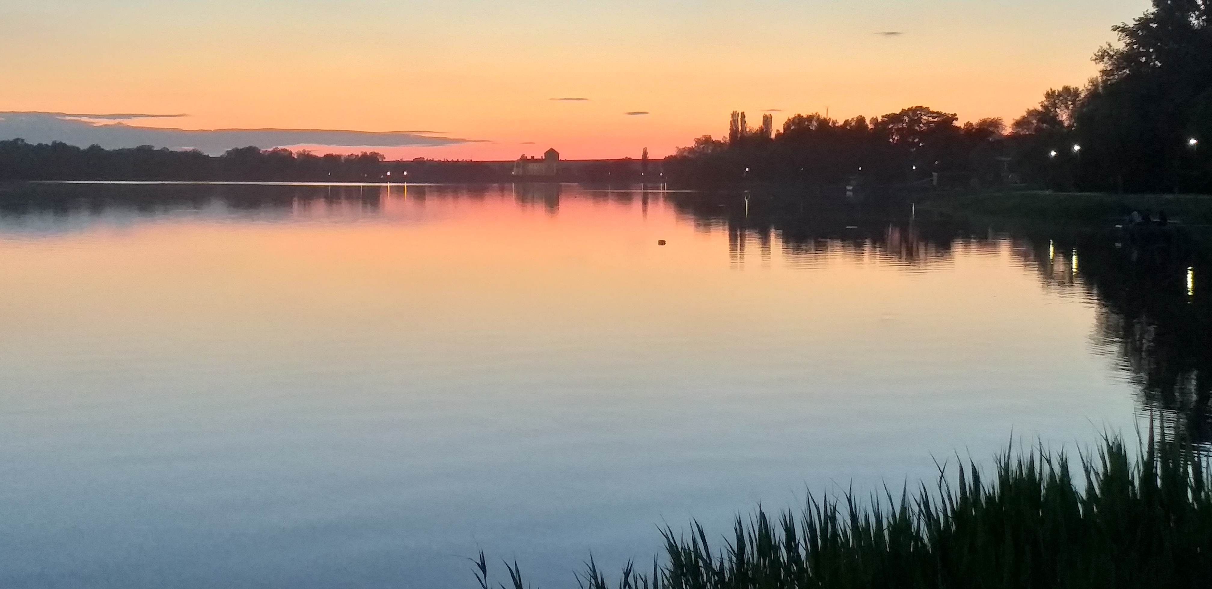 20190510_203606_1.jpg