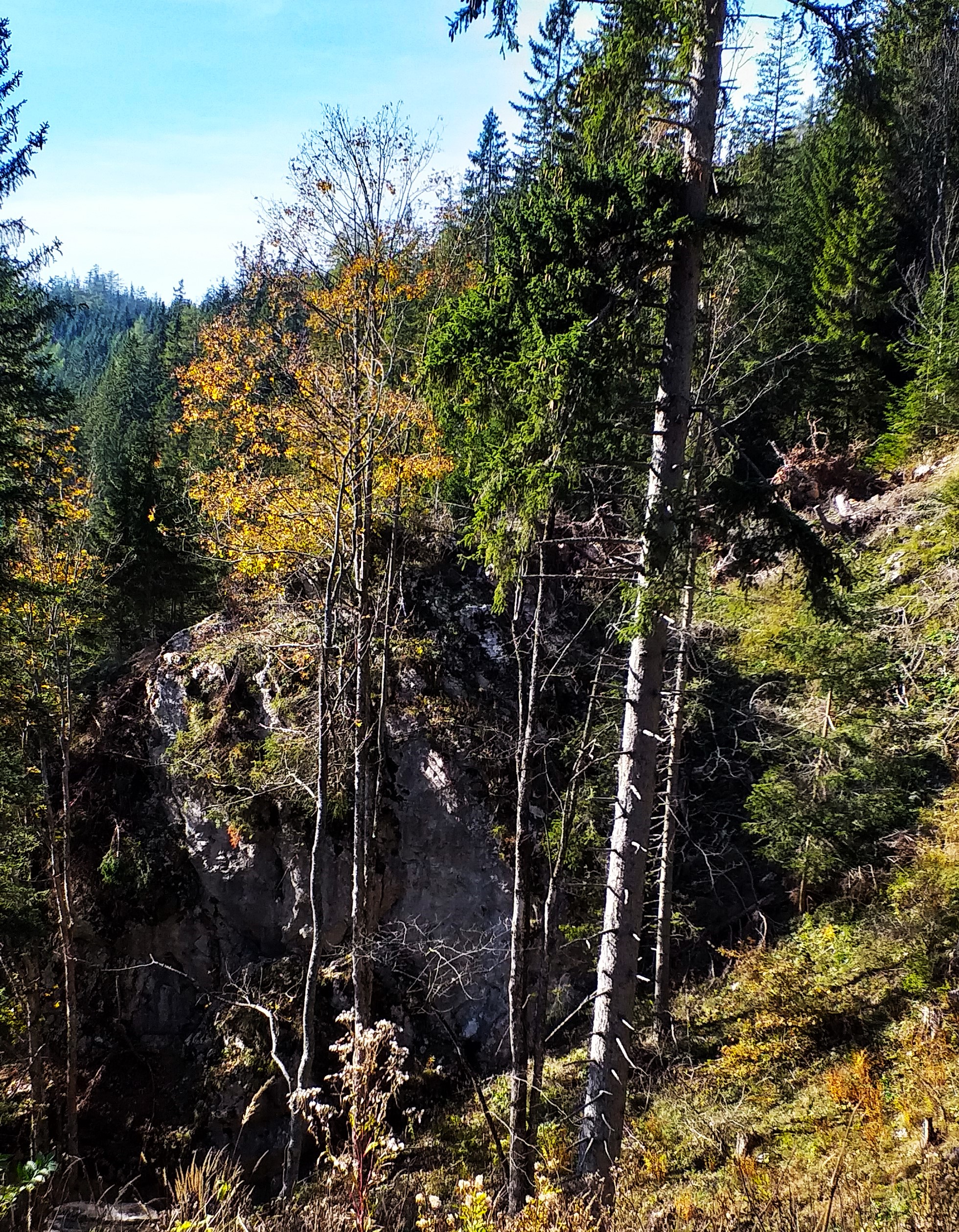 20191019_142234.jpg