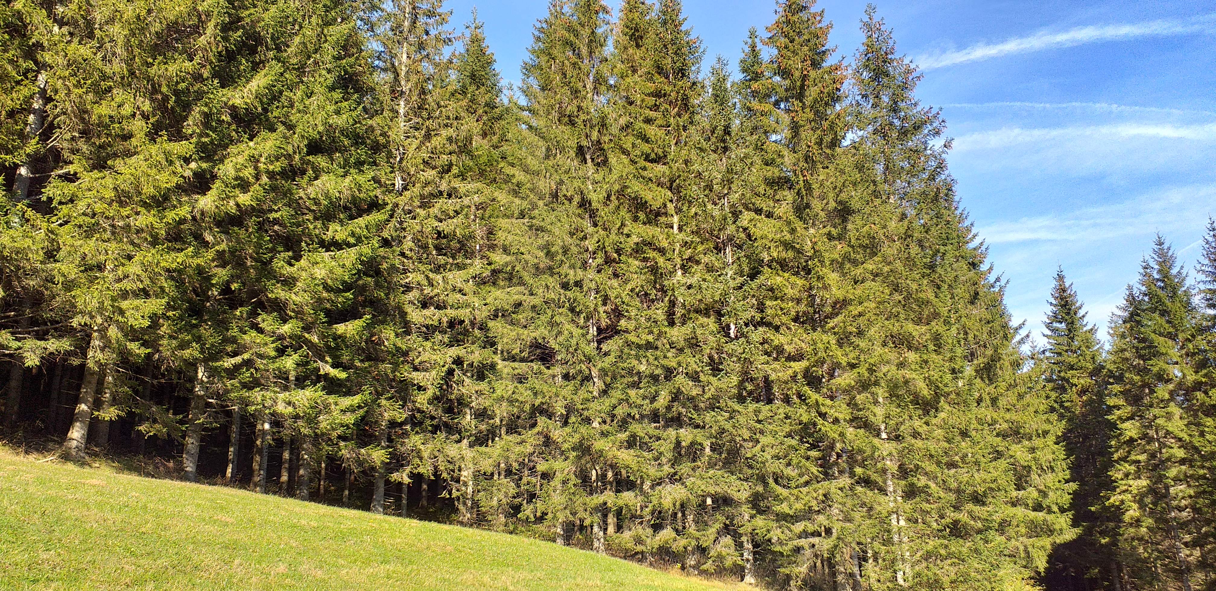 20191019_144243.jpg