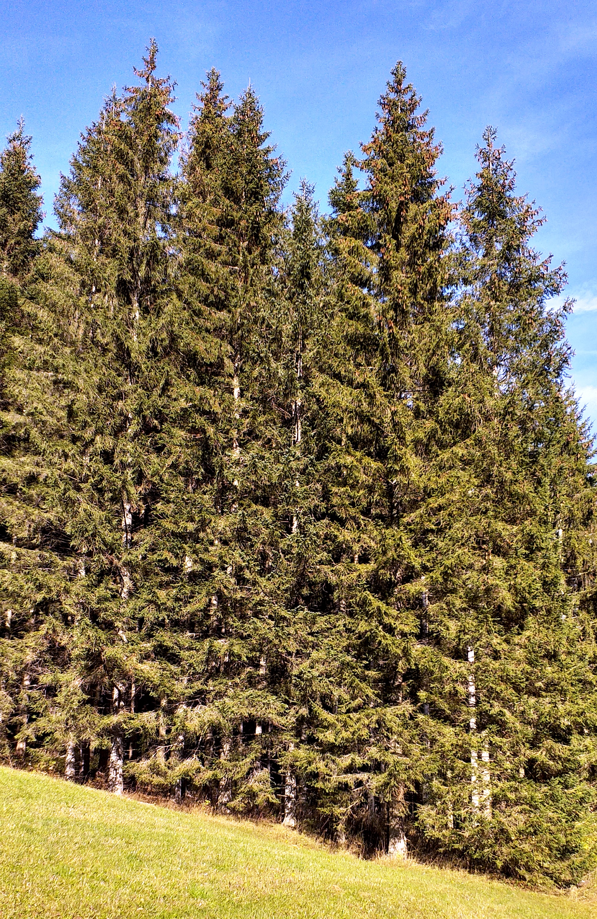 20191019_144249.jpg
