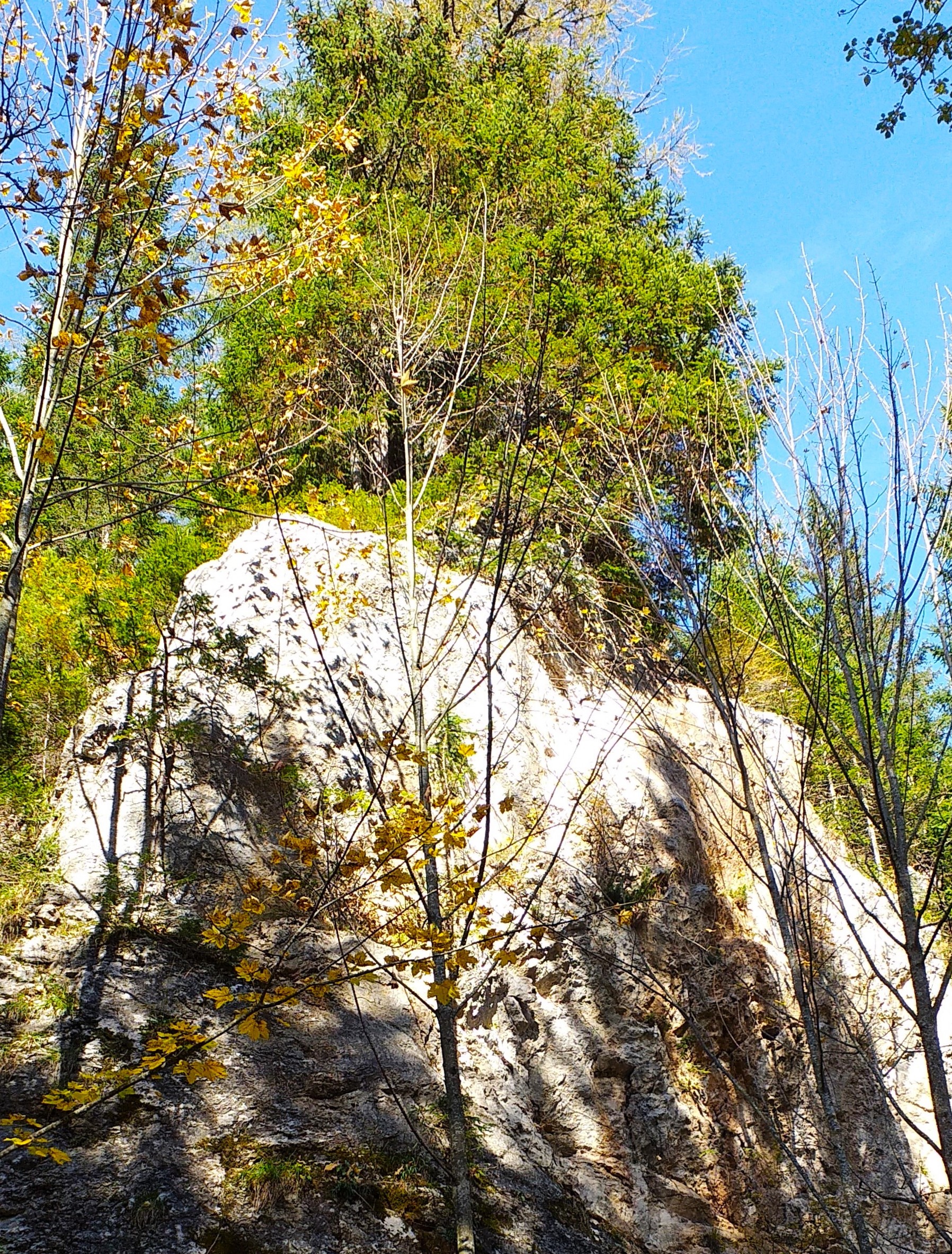 20191019_144941.jpg