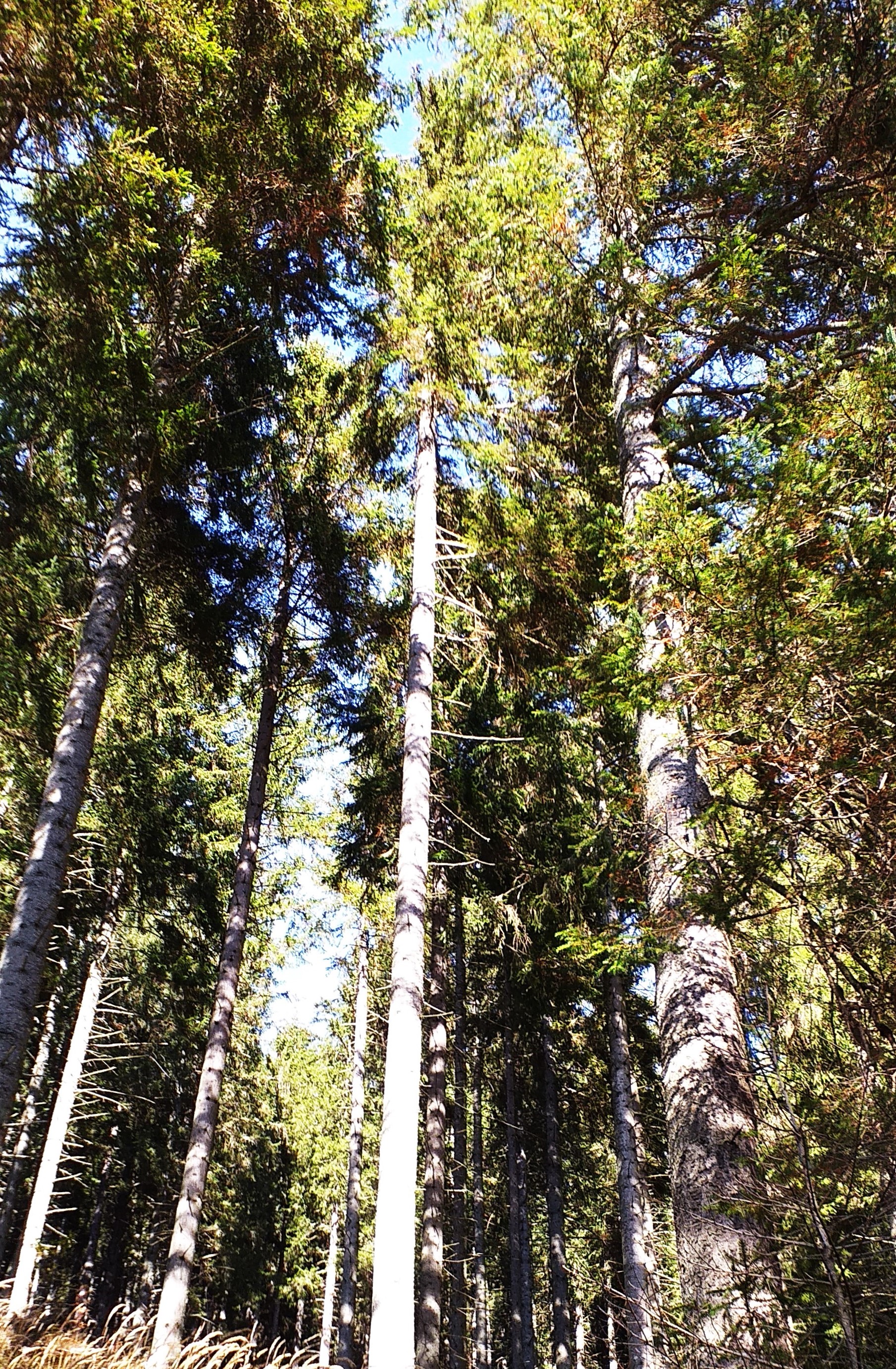 20191019_145631.jpg