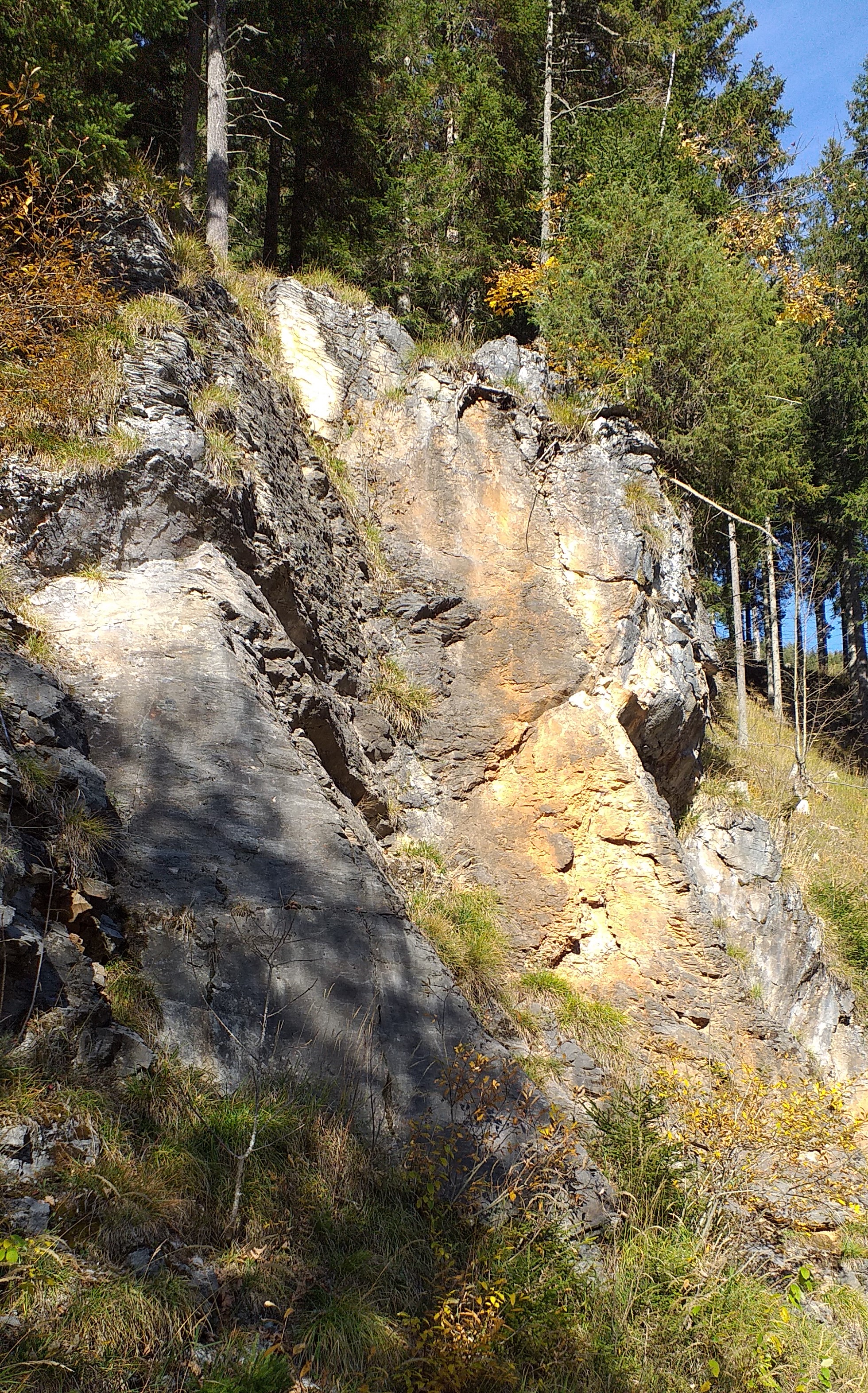 20191019_145842.jpg