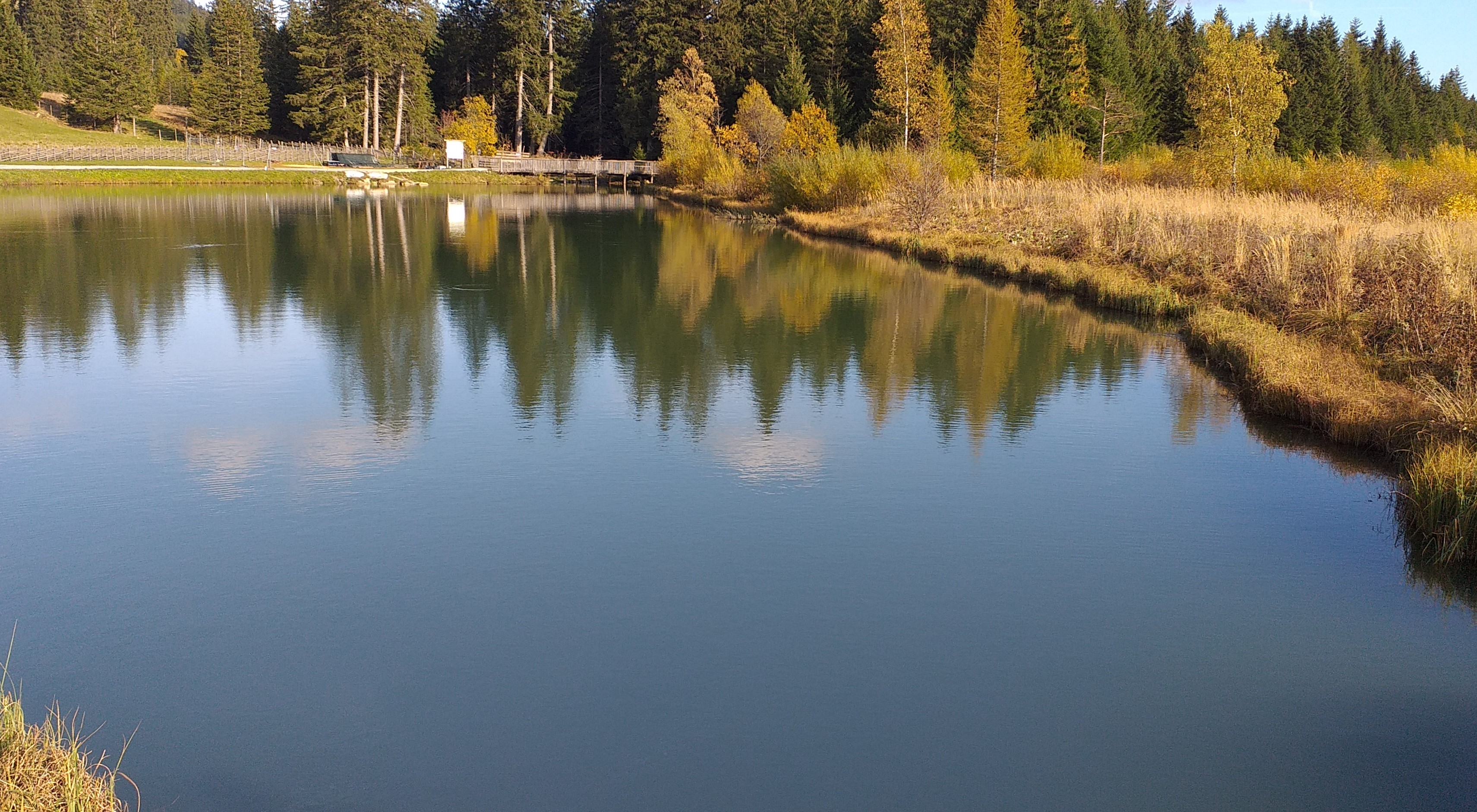 20191019_153648.jpg