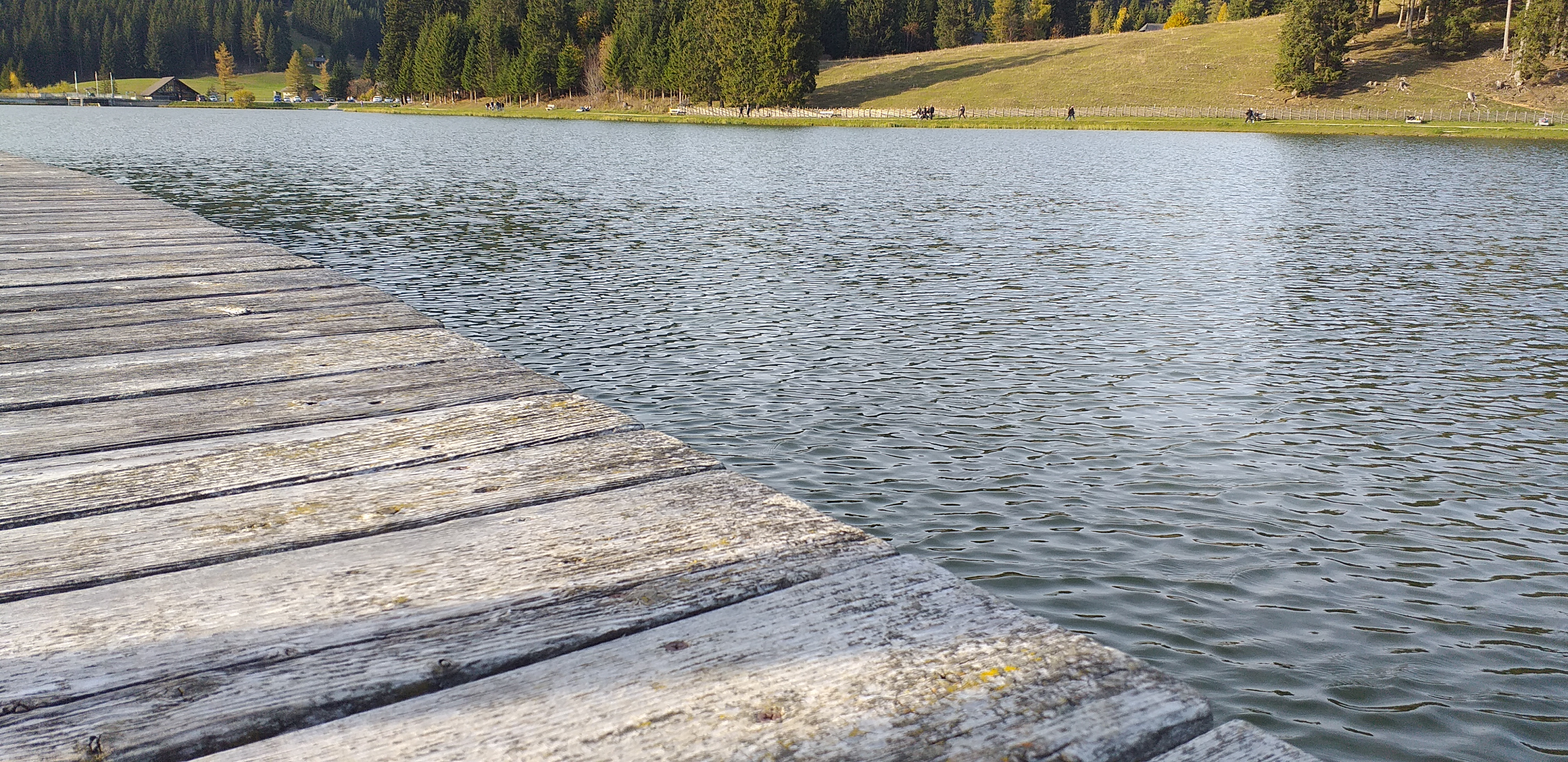 20191019_160303.jpg