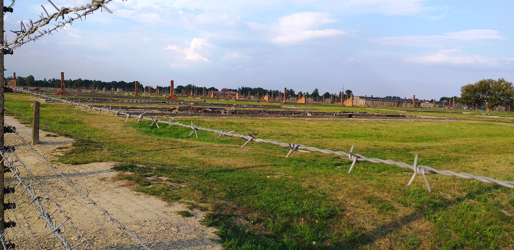 2019_08_19_birkenau_a_munkara_szelektaltak_leegett_tabora_2.jpg