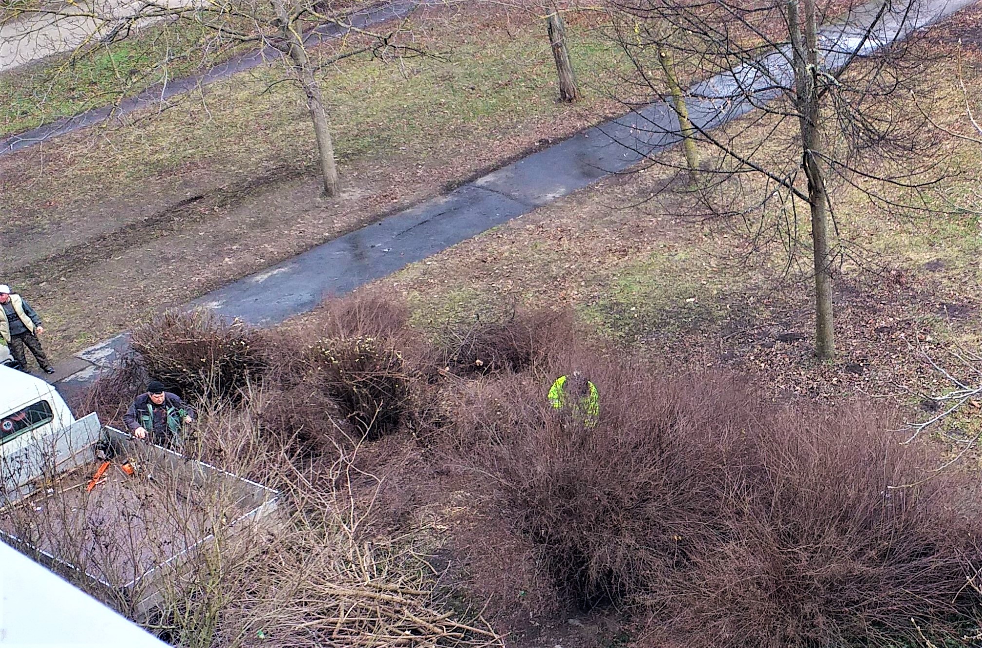 20220126_110758.jpg